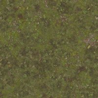 Asset preview